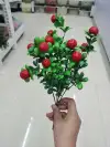 خمس أشجار برتقال details Picture
